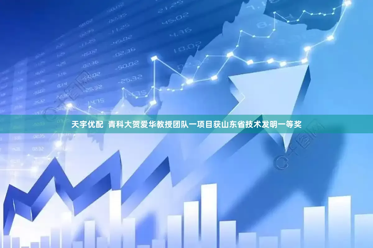 天宇优配  青科大贺爱华教授团队一项目获山东省技术发明一等奖