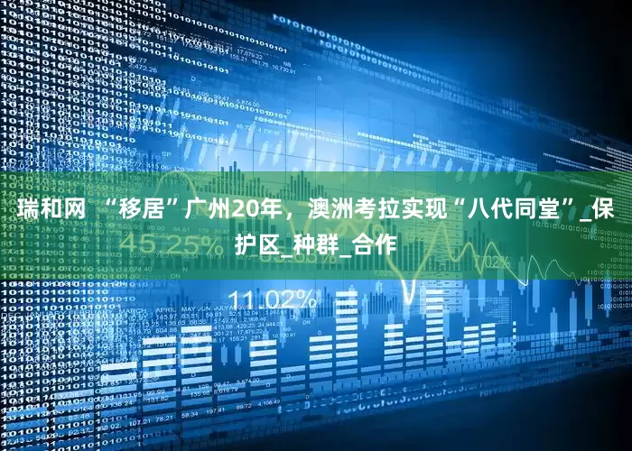 瑞和网  “移居”广州20年，澳洲考拉实现“八代同堂”_保护区_种群_合作